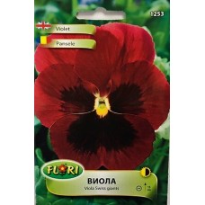 Виола Червено с черно Viola x wittroskiana