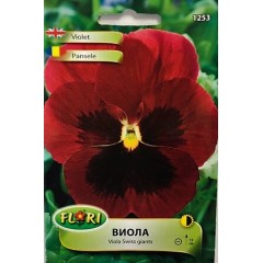 Виола Червено с черно Viola x wittroskiana