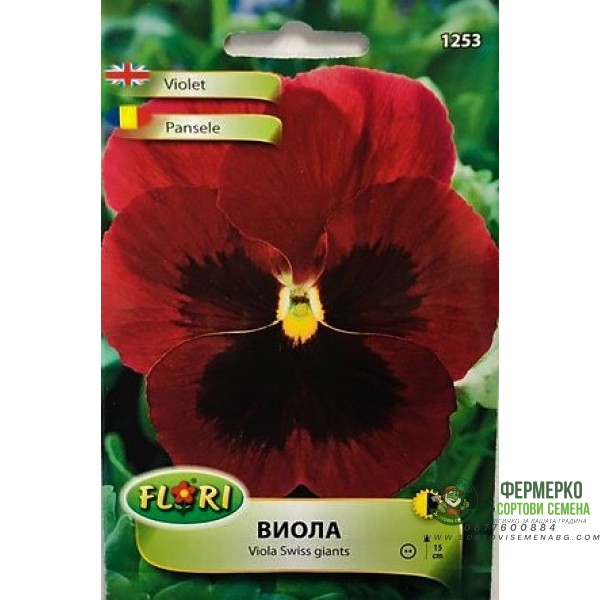 Виола Червено с черно Viola x wittroskiana