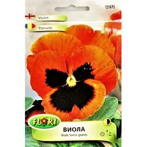 Виола оранжево с черно