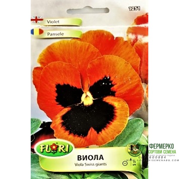 Виола оранжево с черно