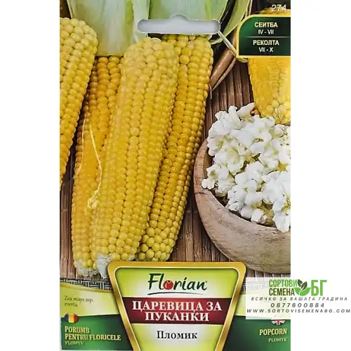 Царевица за пуканки Пломик Царевица за пуканки Пломик