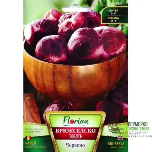 Зеле Брюкселско Червено