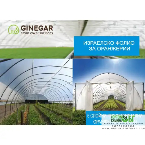 Полиетилен - 180 mic +AF(анти капка), Многослоен израелски за оранжерии от Ginegar Полиетилен - 180 mic +AF(анти капка), Многослоен израелски за оранжерии от Ginegar