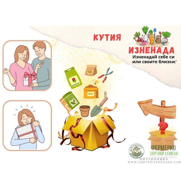 Кутия Изненада - Позволи ни да те изненадаме!