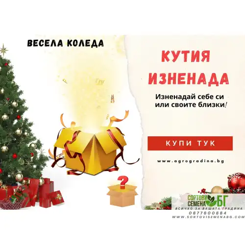 Кутия Изненада - Позволи ни да те изненадаме!