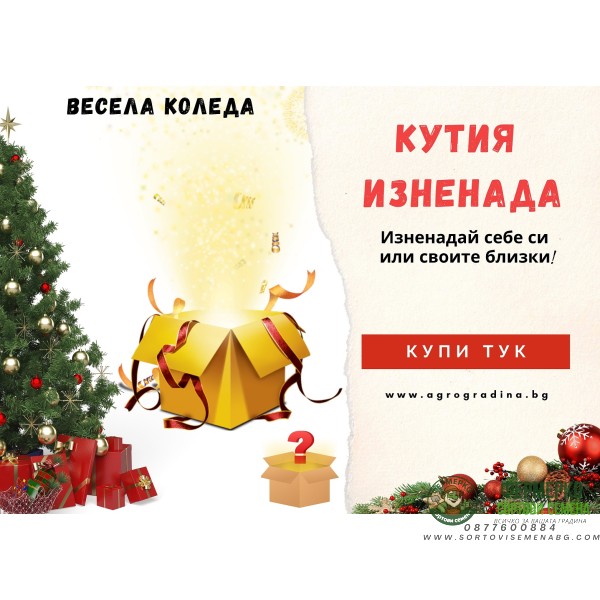 Кутия Изненада - Позволи ни да те изненадаме!