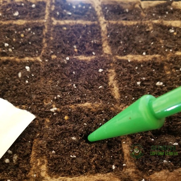 Пакет начален Старт БИОРАЗГРАДИМ - макси