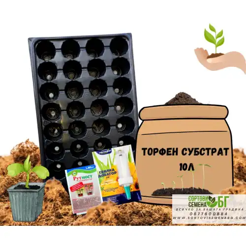 Пакет начален Старт - макси Пакет начален Старт - макси