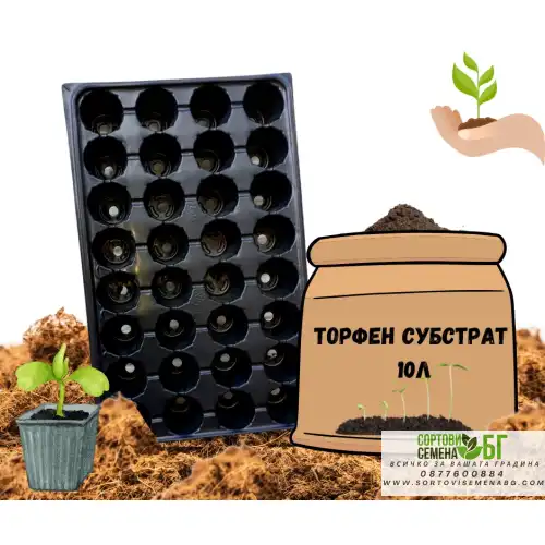 Пакет начален Старт - мини Пакет начален Старт - мини