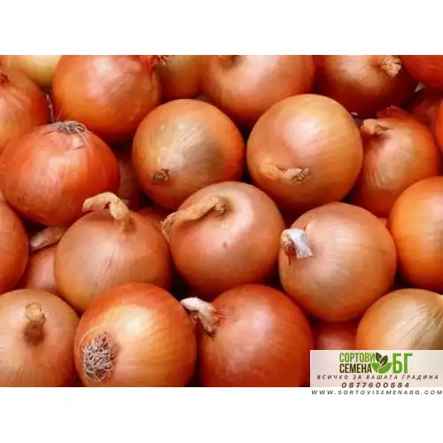 Арпаджик (Балучка) Жълт - 0,5 кг Арпаджик (Балучка) Жълт - 0,5 кг