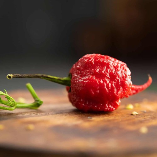 Много люти чушки в саксия (различни видове, височина 80-110 см) / Hot peppers in pot