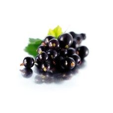 Разсад Касис (Черно Френско Грозде) Ribes nigrum