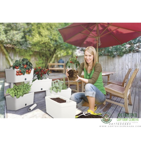 Сандъчета комплект от 5 модула Брик Brick