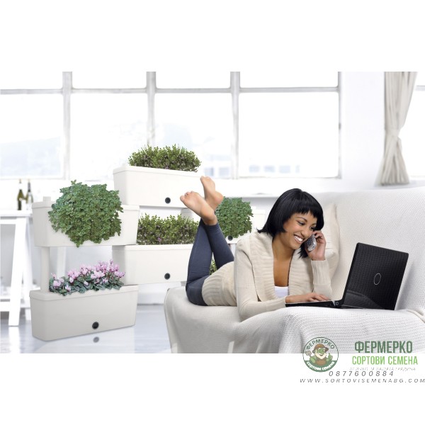 Сандъчета комплект от 5 модула Брик Brick