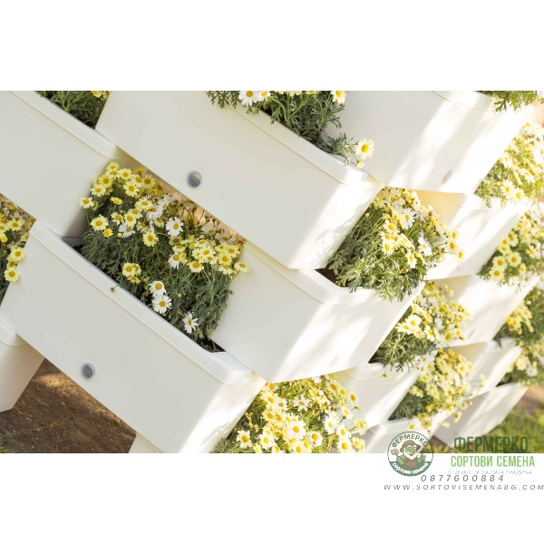 Сандъчета комплект от 5 модула Брик Brick