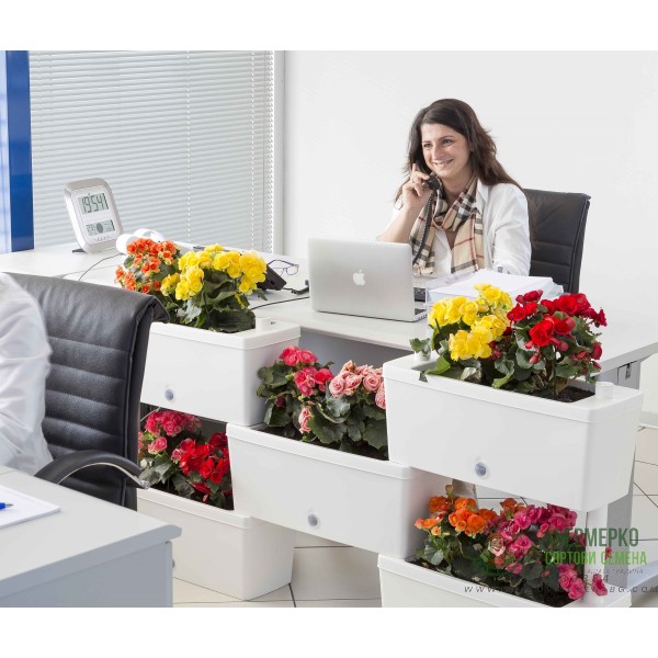 Сандъчета комплект от 5 модула Брик Brick