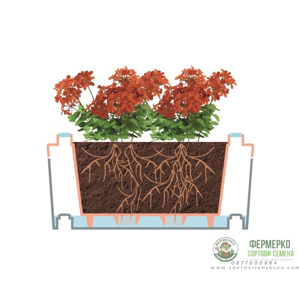 Сандъчета комплект от 5 модула Брик Brick