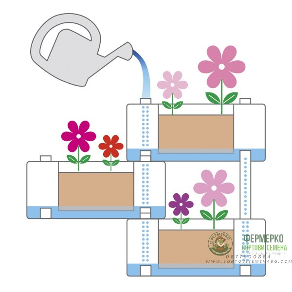Сандъчета комплект от 5 модула Брик Brick