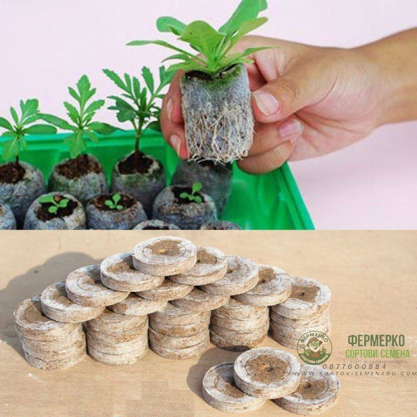 Кокосови шайби