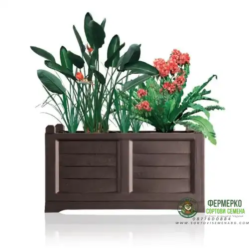 Кашпа + вътрешна саксия Комплект Аредо / Kit Areddo