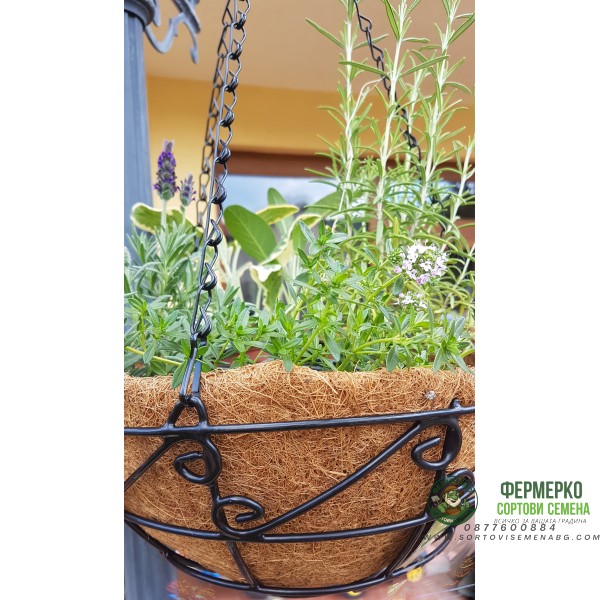 Висяща кашпа (Ковано желязо с кокос)