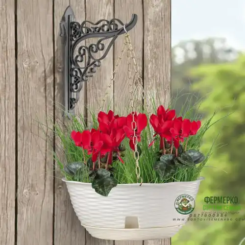 Висяща саксия ф30 с верига и конзола с декоративни елементи комплект Paglia