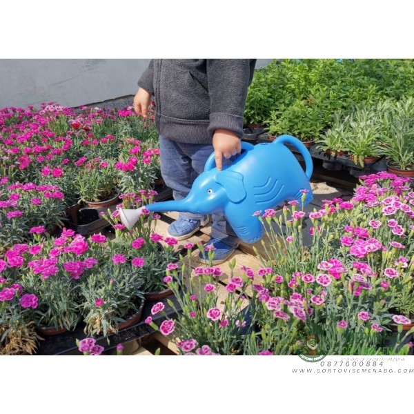 Детска лейка Слонче - 2 л