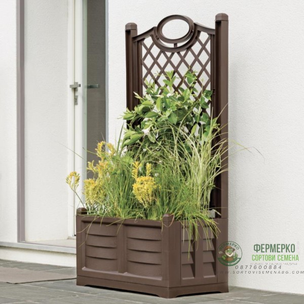 Градински сандък с пергола Espalier Separe