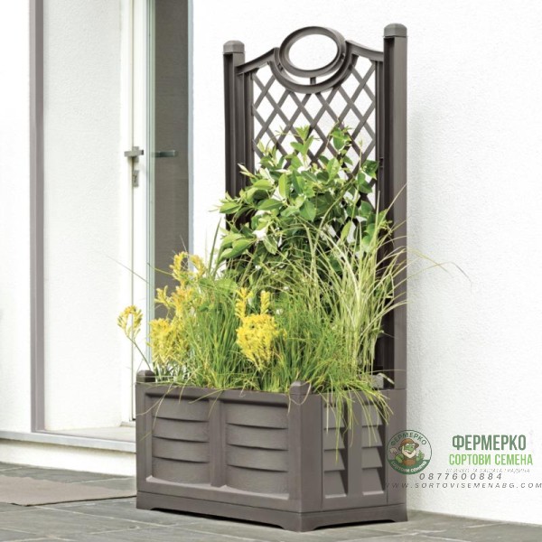 Градински сандък с пергола Espalier Separe