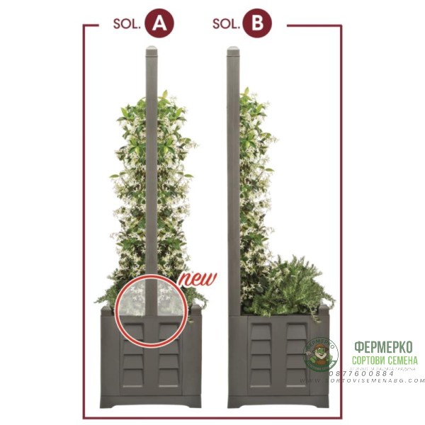 Градински сандък с пергола Espalier Separe