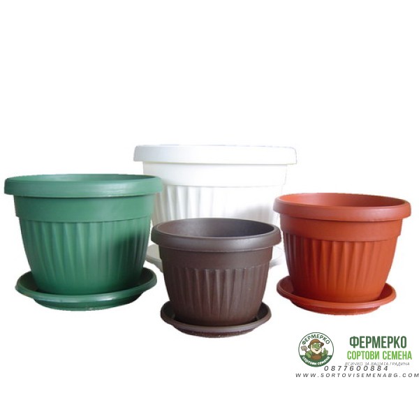 Саксии Оребрени ∅ 14 cm