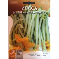Тиква Албенга Tромпет (дълга, ядливи цветове) Trombetta di Albenga