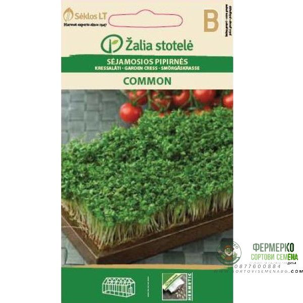 Семена за микро Крес Коммон Lepidium sativum L Семена за микро Крес Коммон Lepidium sativum L