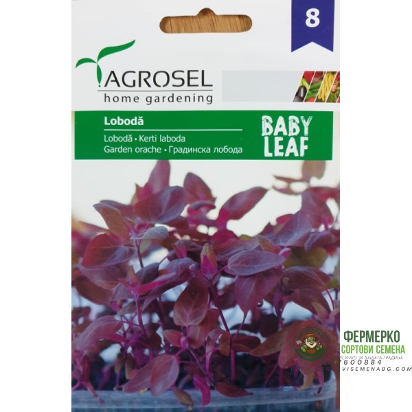 Бейби Градинска лобода - микро растение