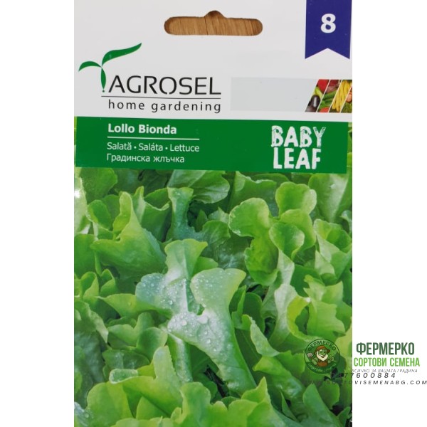 Бейби салата Лоло Бионда - микро растение