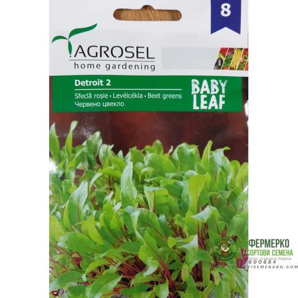 Бейби Червено цвекло Детройт - микро растение