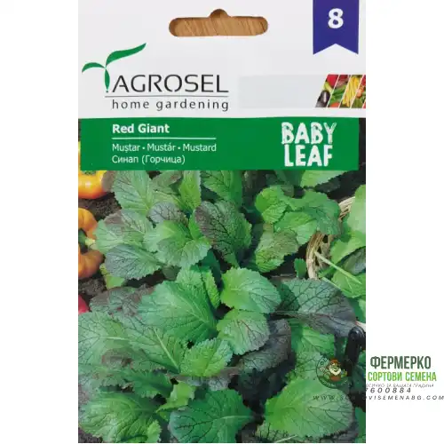 Бейби семена за Синап (горчица) - микро растение