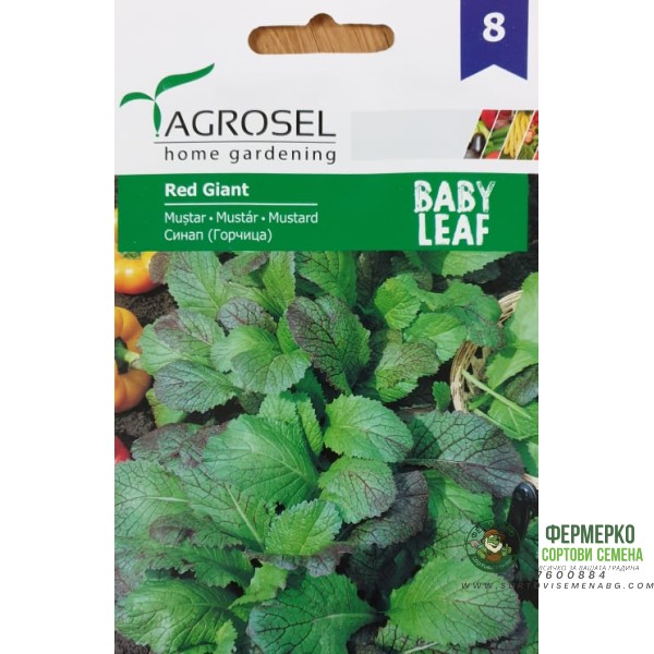 Бейби семена за Синап (горчица) - микро растение