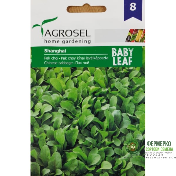 Бейби семена за зеле Пак Чой - микро растение