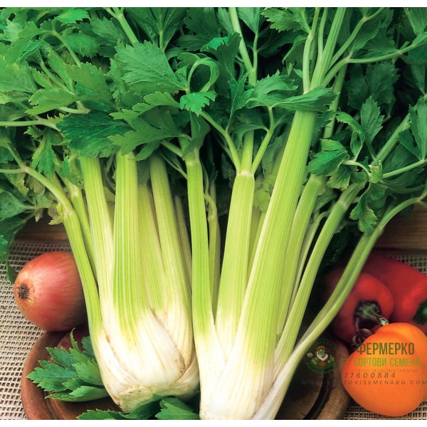 Целина (дръжковидна) Нугет Nuget