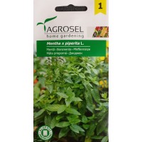 Джоджен Mentha piperita