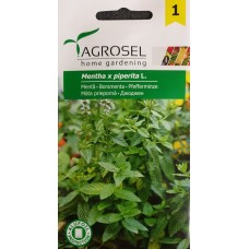 Джоджен Mentha piperita