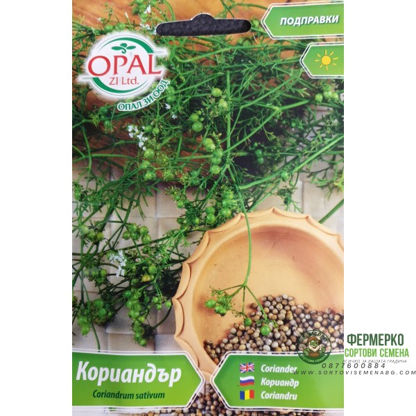 Кориандър Coriandrum sativum