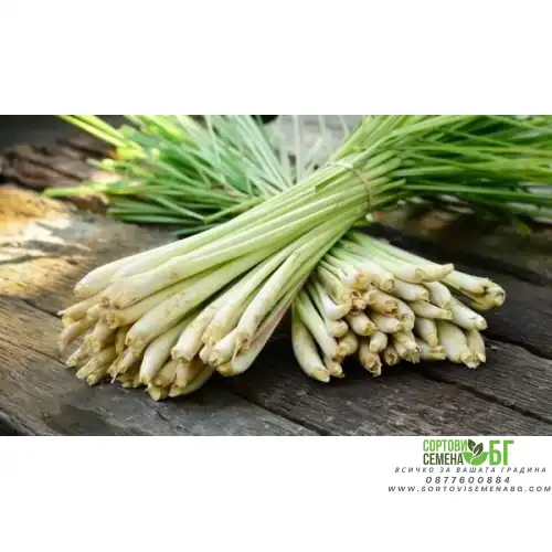 Лимонова трева