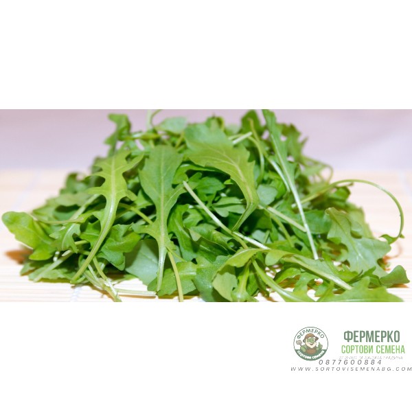 Рукола Eruca sativa Mill.