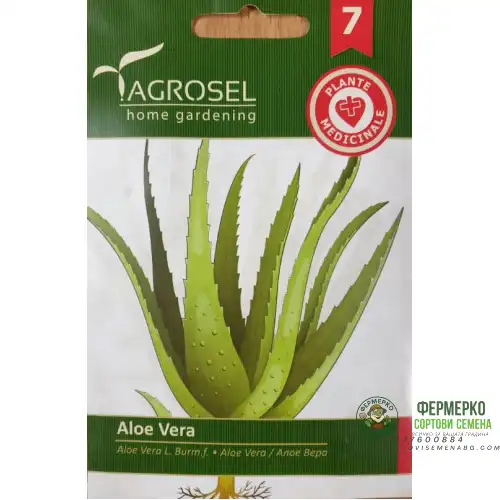 Семена за Алое Вера / Aloe vere