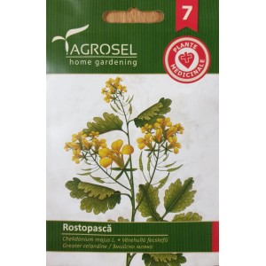 Змийско мляко / Chelidonium majus