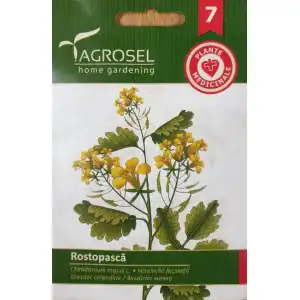 Змийско мляко / Chelidonium majus