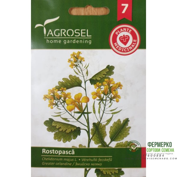 Змийско мляко Chelidonium majus